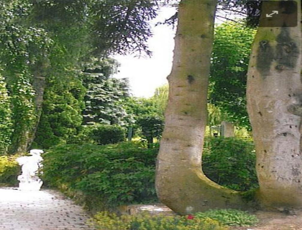 7 , le Haut Montrayé Pacé Exterior foto