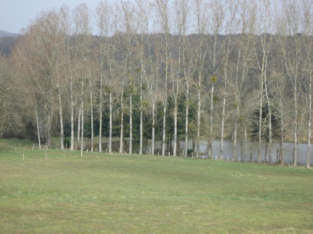 7 , le Haut Montrayé Pacé Exterior foto